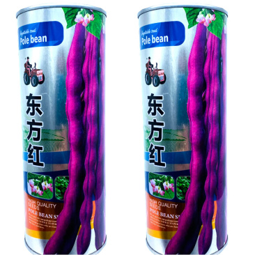 四季豆种子东方红无筋架豆种籽春秋高产紫芸豆角菜园盆栽蔬菜
