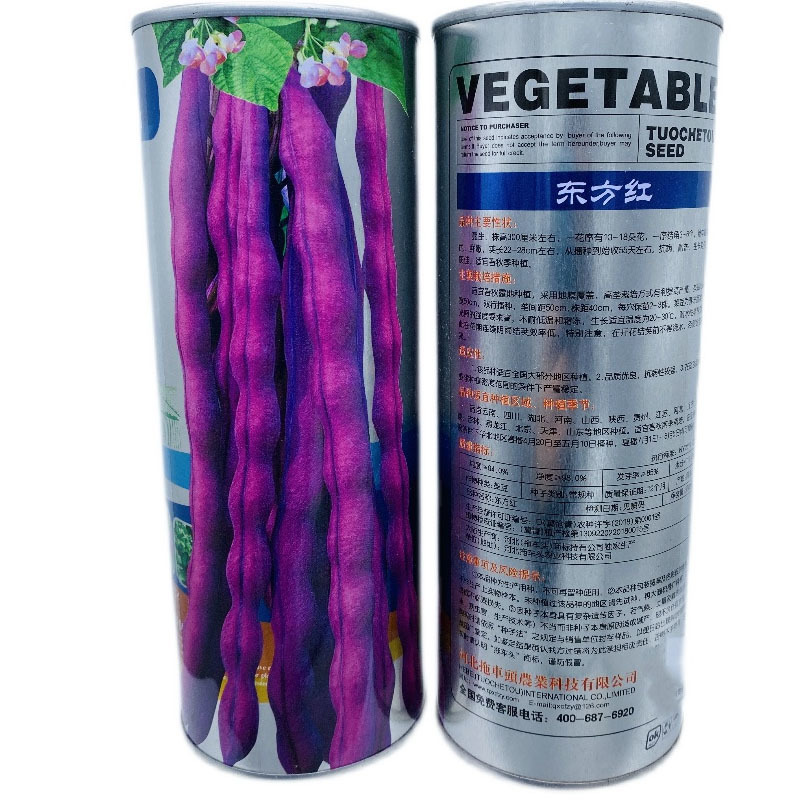 四季豆种子东方红无筋架豆种籽春秋高产紫芸豆角菜园盆栽蔬菜
