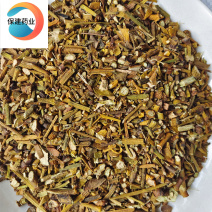 寄生统片干净扁枝槲寄生桑寄生【良心经营品种齐全