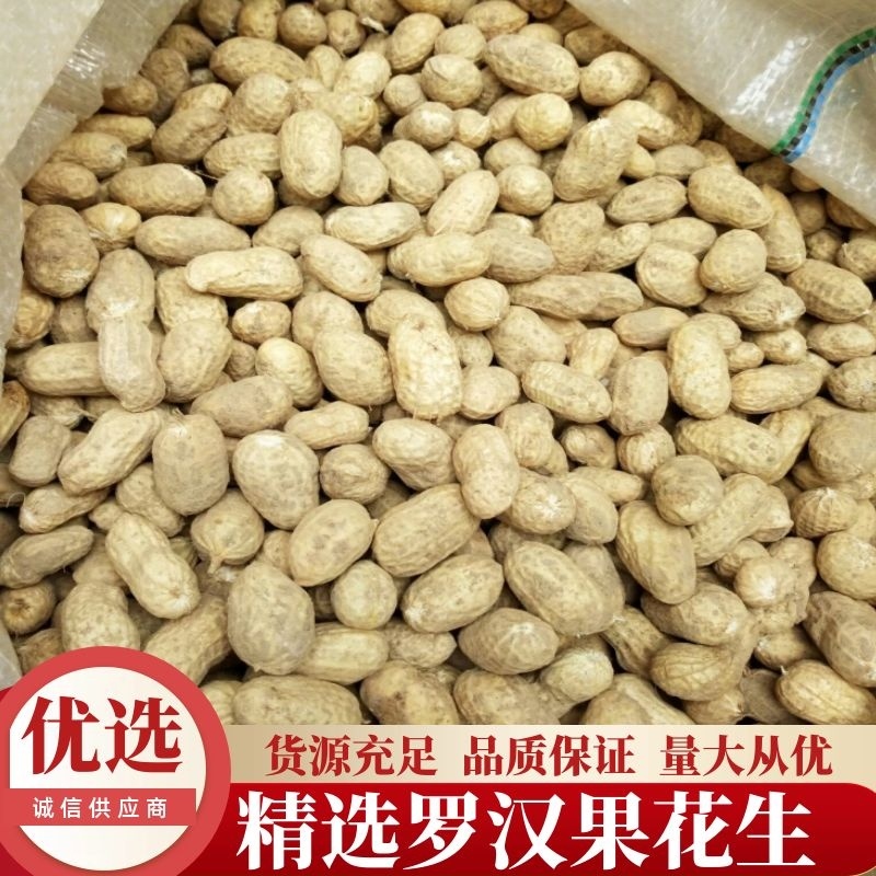 精选罗汉果（308）花生加工手剥米支持线上保障交易