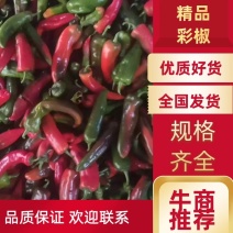 安徽芜湖鲜辣椒花辣椒，彩椒产地直供欢迎采购