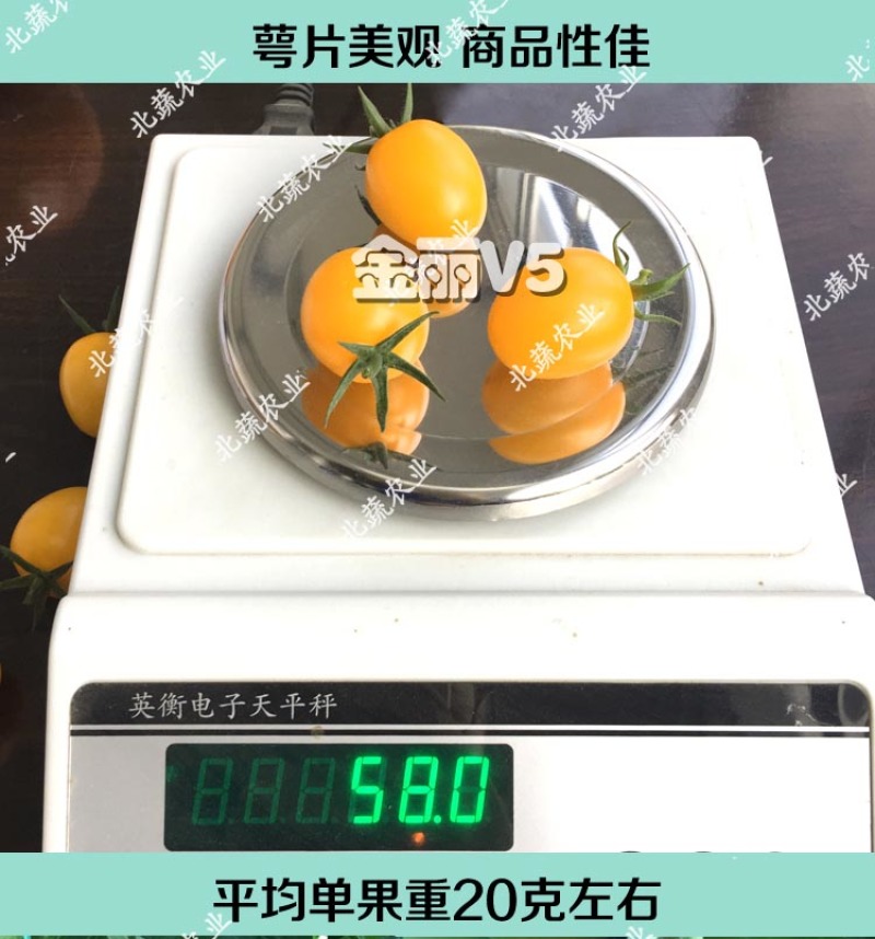 千禧圣女果种子黄色小番茄种籽好吃樱桃番茄种小黄柿子籽