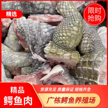 商品鳄鱼每条都可带合法养殖的标签可直接下单各种规格都有
