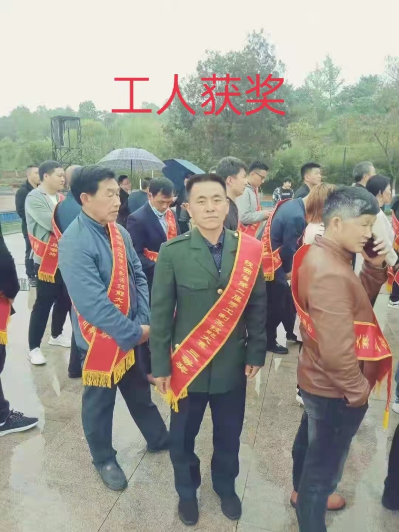碧螺春茶叶味浓礼盒装来自大自然的绿茶镇安特产象元
