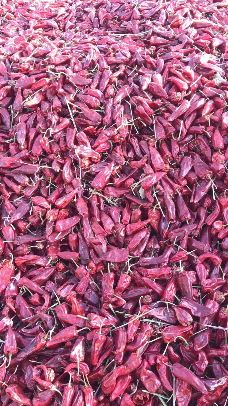 内蒙古开鲁县北京红干辣椒，产地货源稳定，保质保量供应全国