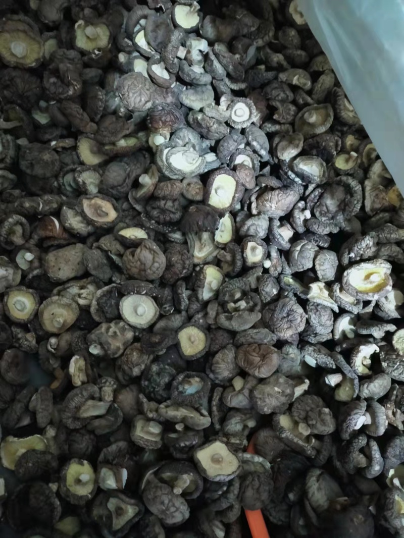 干香菇河南基地直供一手货源品质保证欢迎采购