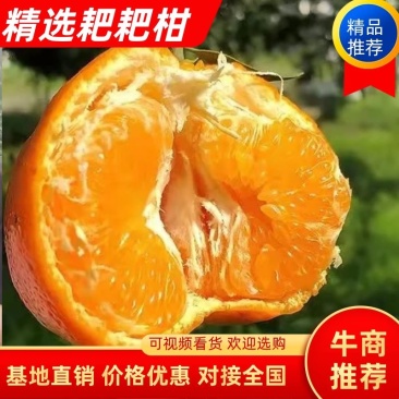 四川耙耙柑高次直供：电商货，拖板车货货源充足