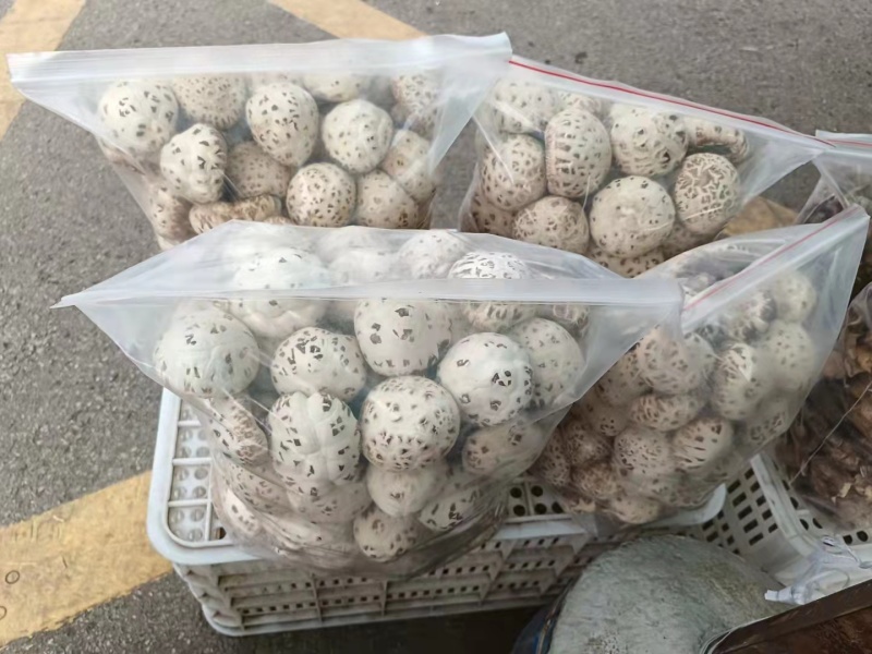 泌阳花菇礼盒包装送礼必备对接团长大型超市大量有货