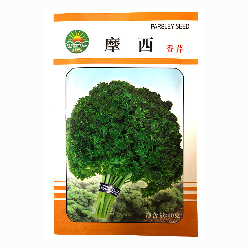 摩西香芹种子法香种籽味道浓郁盘饰皱叶蔬菜春夏秋种植