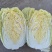 【精品】江苏黄心大白菜大白菜基地直供品质保证全国发货