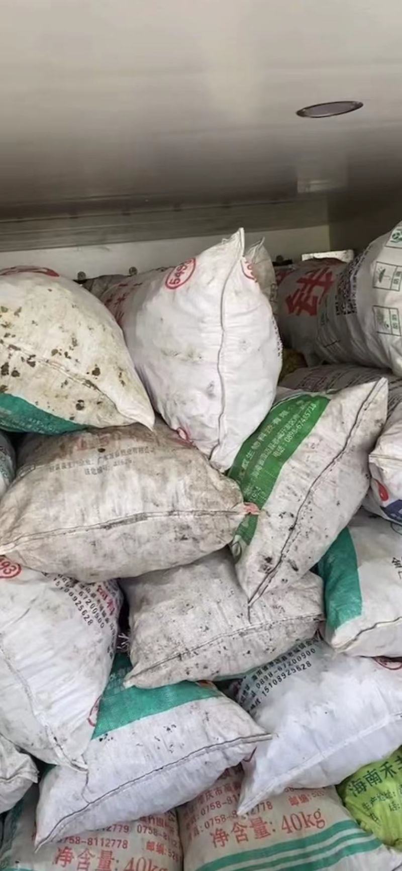 【回头客多】精品螺丝椒，对接全国商超市场质量保证诚信买卖