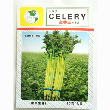 金香玉小芹菜种子芹菜种子夏季耐热黄心宽厚脆绿四季种植