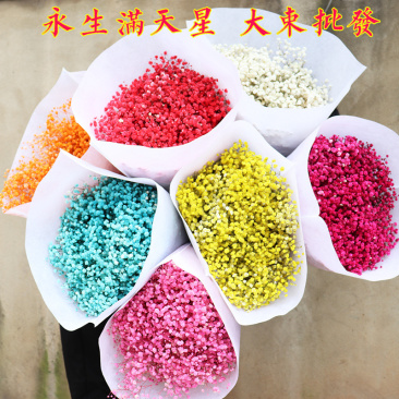 满天星永生花干花云南产地工厂直发量大更优惠