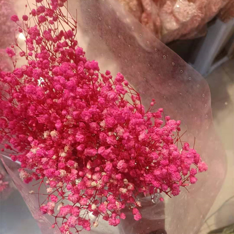 满天星永生花干花云南产地工厂直发量大更优惠