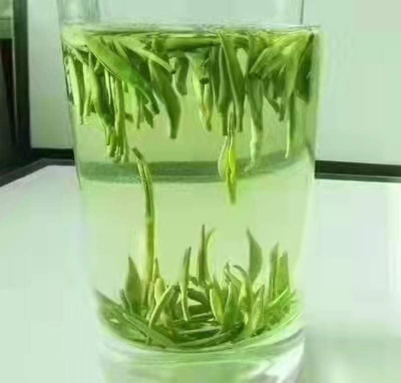 优质炒绿茶青茶炒青茶年中促销量大价优质量保证