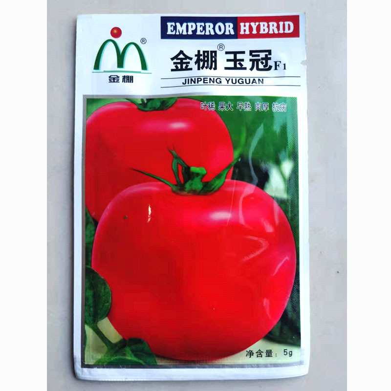 金棚玉冠番茄种子粉果番茄大西红柿籽基地种植专用