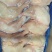 清真排腿