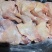 清真排腿