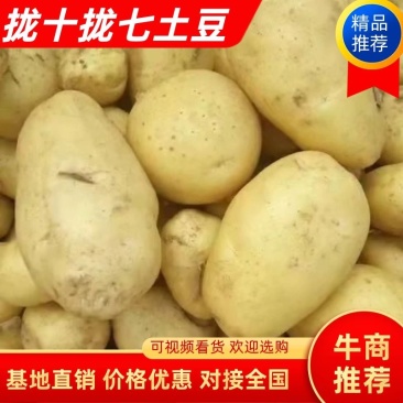 土豆，沃土5号好货天天有，质量没问题，需要的新老客户，