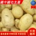 土豆，沃土5号好货天天有，质量没问题，需要的新老客户，