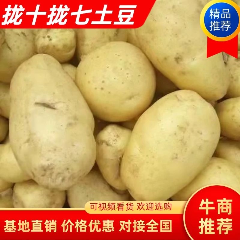 土豆，沃土5号好货天天有，质量没问题，需要的新老客户，