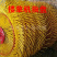 圆盘新型搂草机拖拉机悬挂指盘式收草牧草秸秆捡拾机6盘8盘