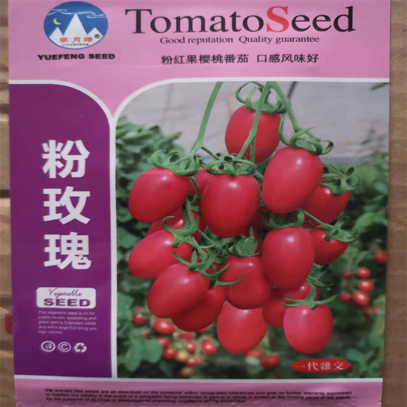 圣女果种子酸甜樱桃小番茄西红种籽柿四季番茄水果蔬菜种子孑