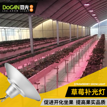 草莓生长补光灯LED全光谱温室大棚植物灯促花膨果上色防徒