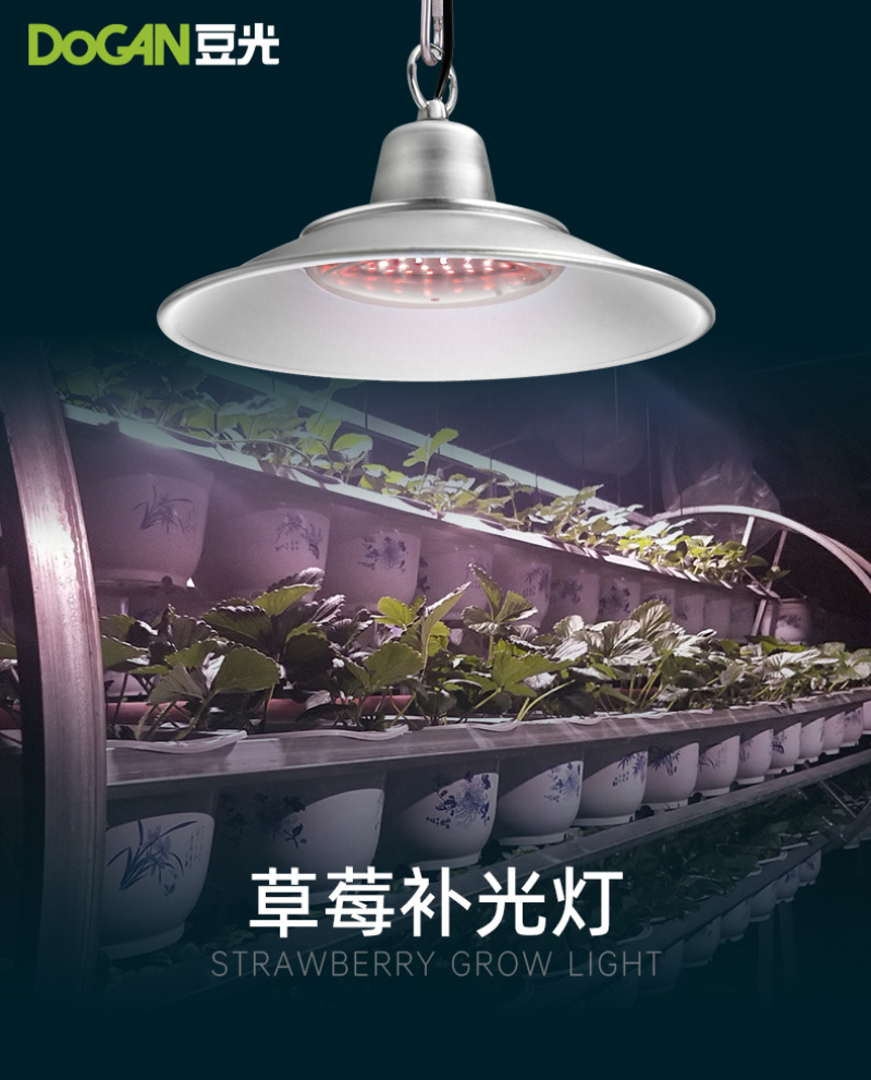 草莓生长补光灯LED全光谱温室大棚植物灯促花膨果上色防徒