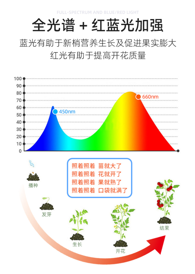 草莓生长补光灯LED全光谱温室大棚植物灯促花膨果上色防徒