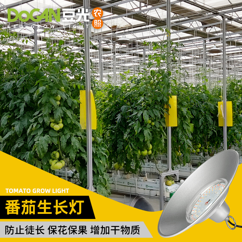 番茄西红柿生长补光灯LED全光谱温室大棚植物灯促进光合防