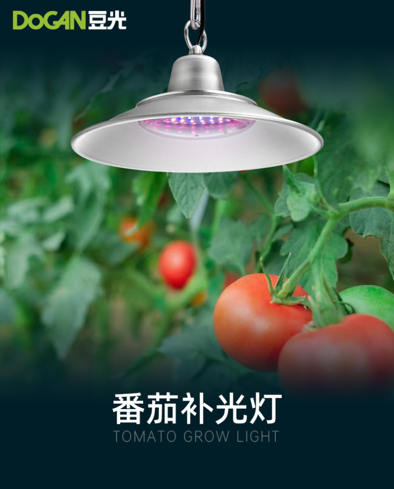 番茄西红柿生长补光灯LED全光谱温室大棚植物灯促进光合防