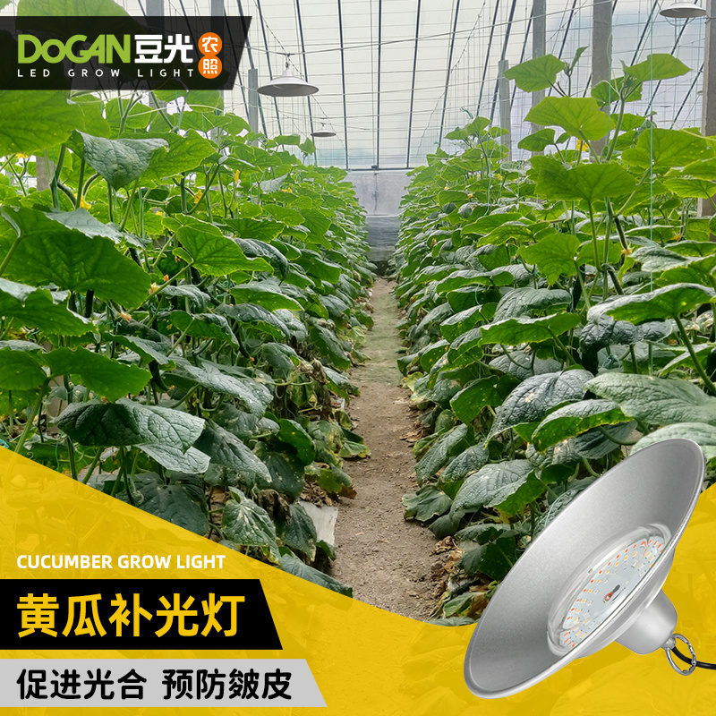 大棚黄瓜生长补光灯LED全光谱植物灯温室农业照明防水铝罩