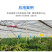 辣椒彩椒生长补光灯LED全光谱温室大棚植物灯防水铝罩50