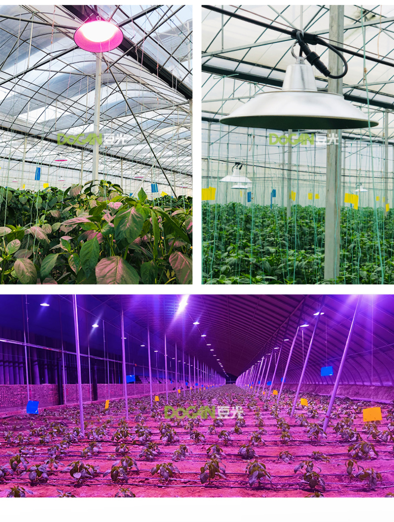 辣椒彩椒生长补光灯LED全光谱温室大棚植物灯防水铝罩50