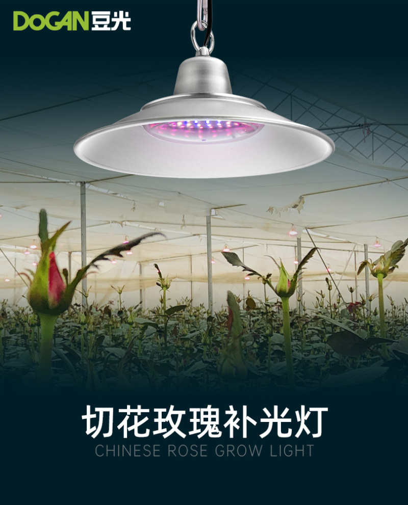 切花玫瑰月季生长补光灯LED全光谱温室大棚植物灯农用防水