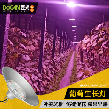暖棚葡萄生长补光灯豆光农照LED全光谱温室植物灯吊装防水