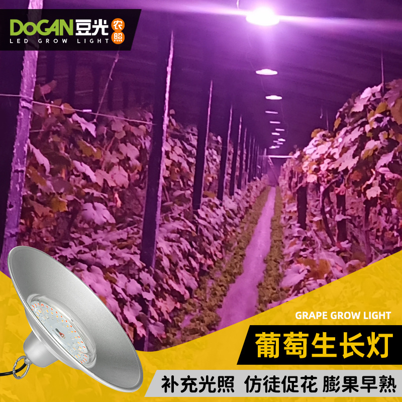 暖棚葡萄生长补光灯豆光农照LED全光谱温室植物灯吊装防水