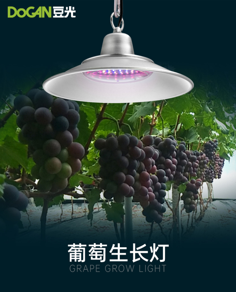 暖棚葡萄生长补光灯豆光农照LED全光谱温室植物灯吊装防水