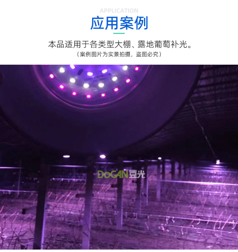 暖棚葡萄生长补光灯豆光农照LED全光谱温室植物灯吊装防水