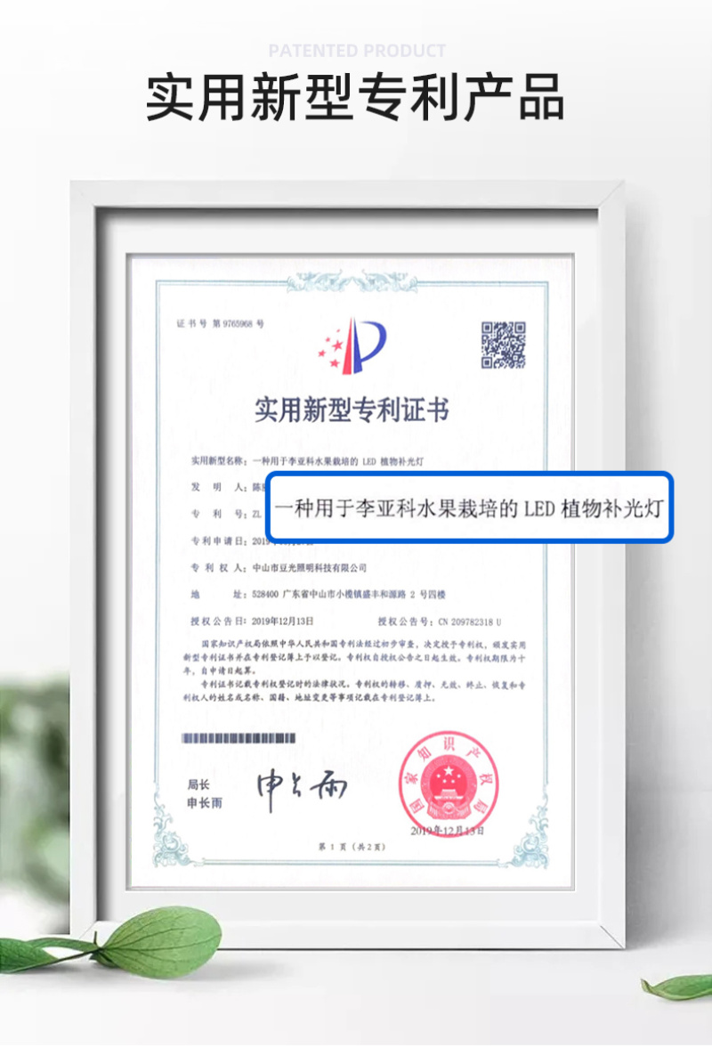 暖棚葡萄生长补光灯豆光农照LED全光谱温室植物灯吊装防水