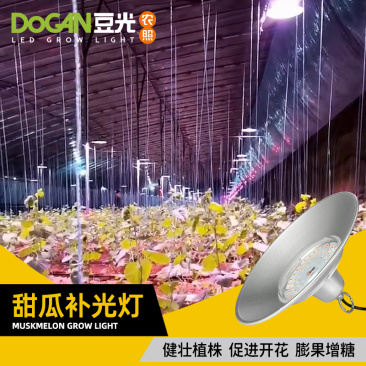 大棚甜瓜生长补光灯LED全光谱植物灯促光合作用防水