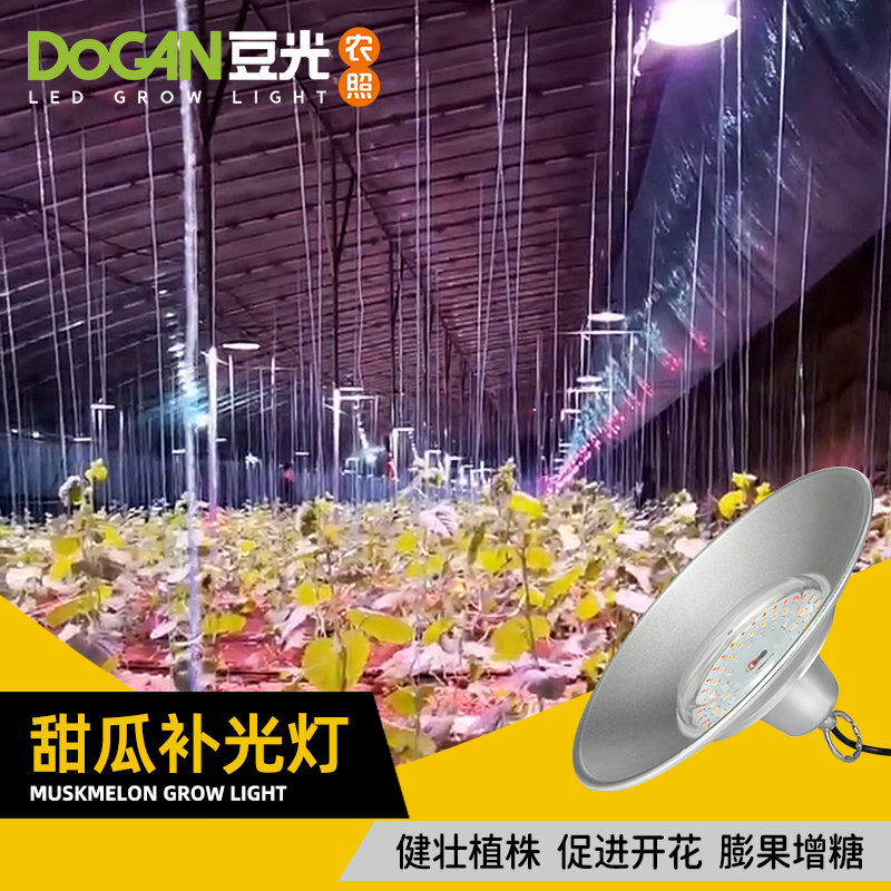 大棚甜瓜生长补光灯LED全光谱植物灯促光合作用防水