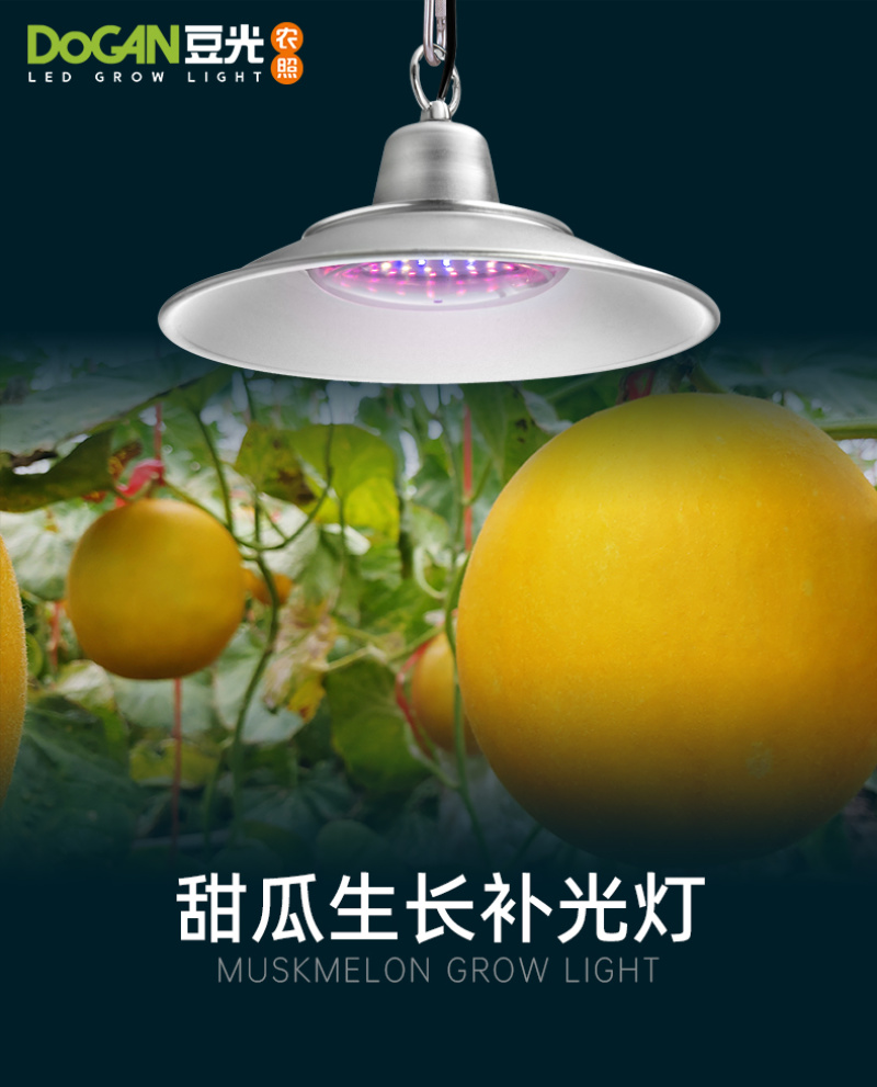 大棚甜瓜生长补光灯LED全光谱植物灯促光合作用防水