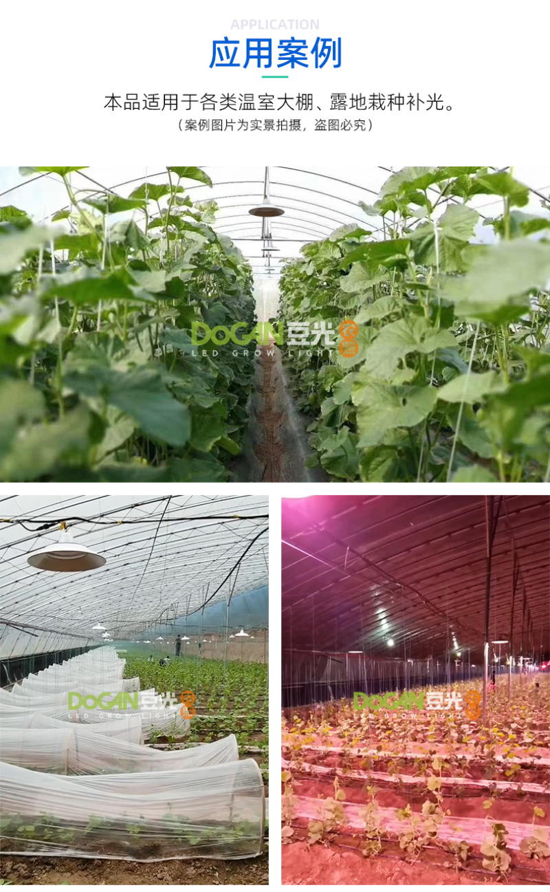 大棚甜瓜生长补光灯LED全光谱植物灯促光合作用防水