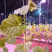 大棚甜瓜生长补光灯LED全光谱植物灯促光合作用防水
