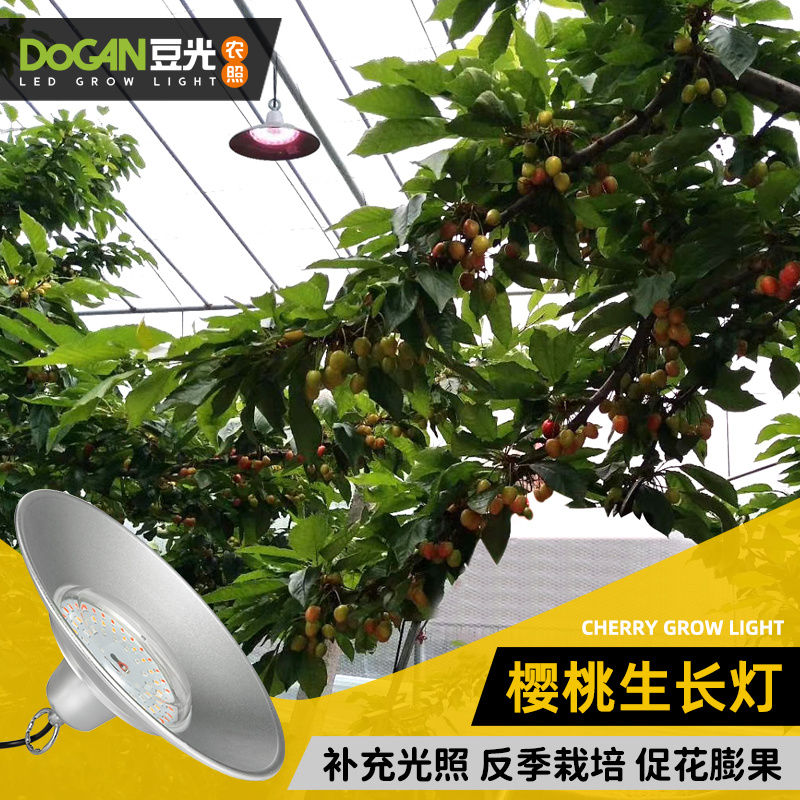 暖棚大樱桃生长补光灯LED全光谱温室大棚植物灯铝壳防水