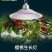 暖棚大樱桃生长补光灯LED全光谱温室大棚植物灯铝壳防水