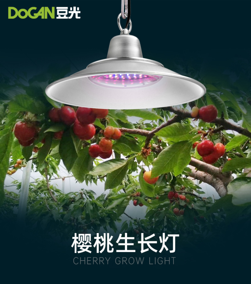 暖棚大樱桃生长补光灯LED全光谱温室大棚植物灯铝壳防水