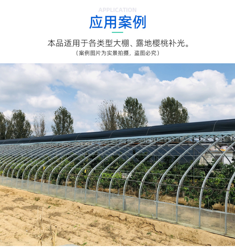 暖棚大樱桃生长补光灯LED全光谱温室大棚植物灯铝壳防水